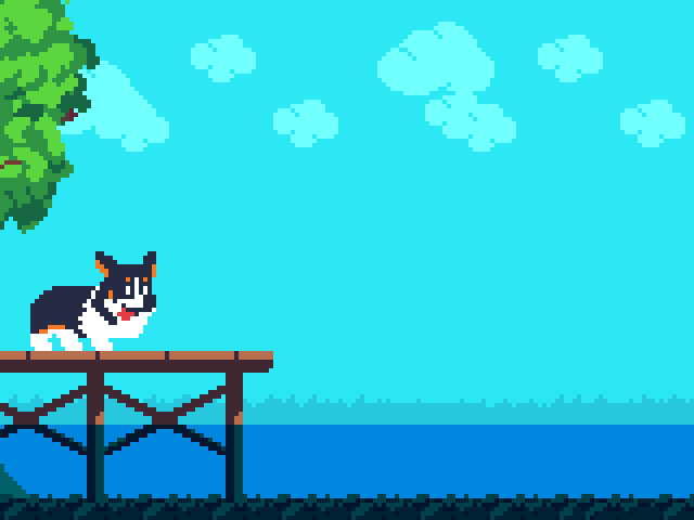 Swimmies at the lake! Woof!