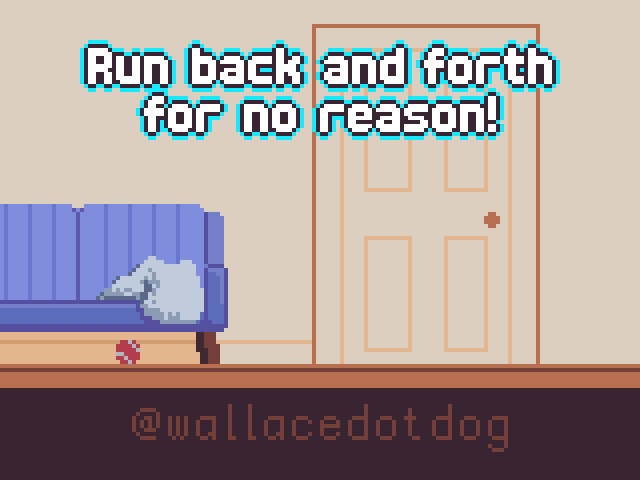 Run back and forth for no reason!